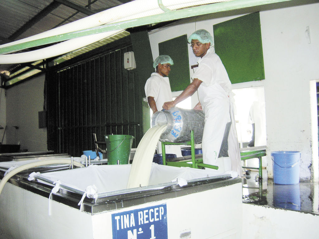 Inauguran la IX edición del Foro lechero en Camoapa