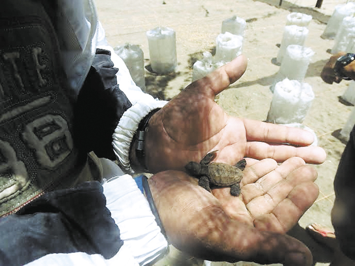 Movimiento en costas de El Viejo