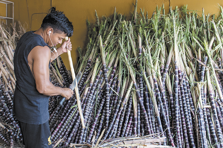 “Gorra” para la Purísima más cara