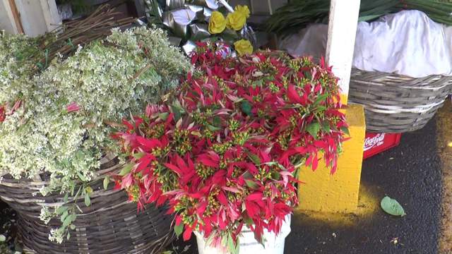 Flores y pólvora productos demandados para la purisima