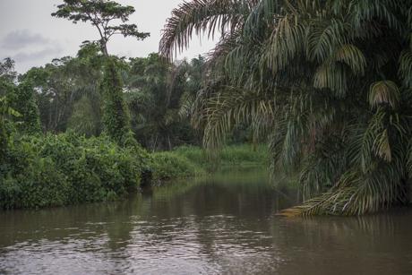 Fallo de La Haya fue un fracaso del Gobierno de Daniel Ortega