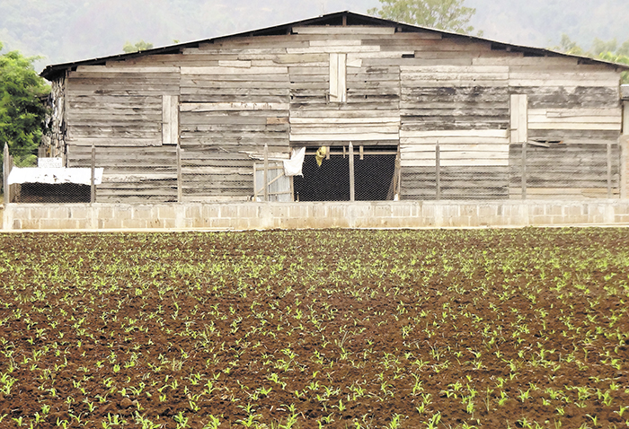 Causas del incendio aún son desconocidas