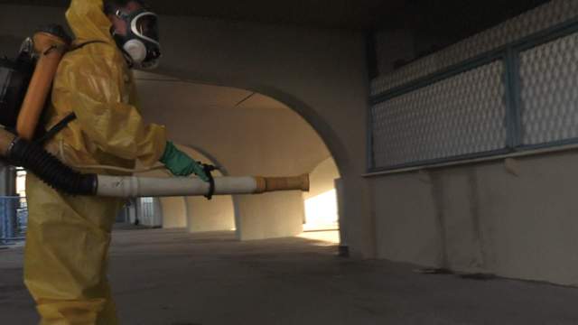 Brasil en guerra contra el Zika