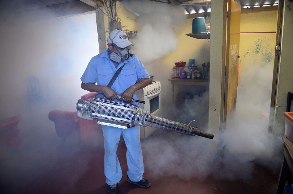 zika, enfermedades, salud pública, aedes aeyipti,