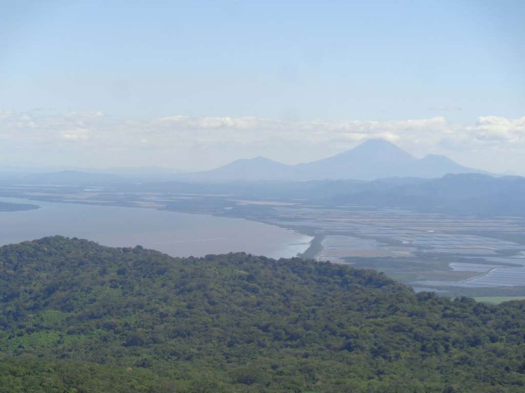 Arrasan con área protegida