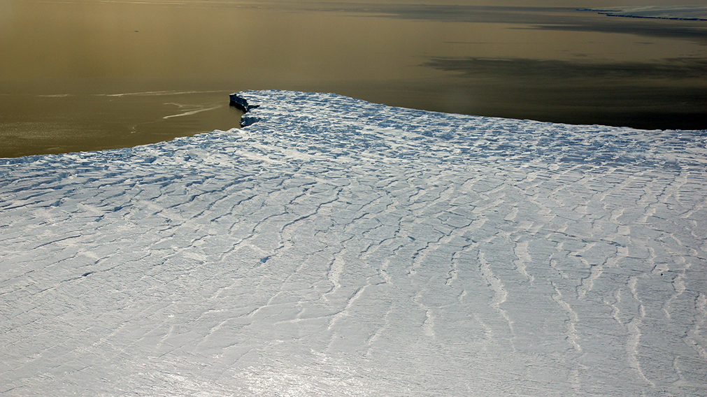 Barreras de hielo en la Antártida se han estrechado y en algunos casos desaparecido