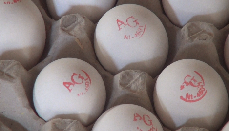 Huevo sellado en mercados de Managua