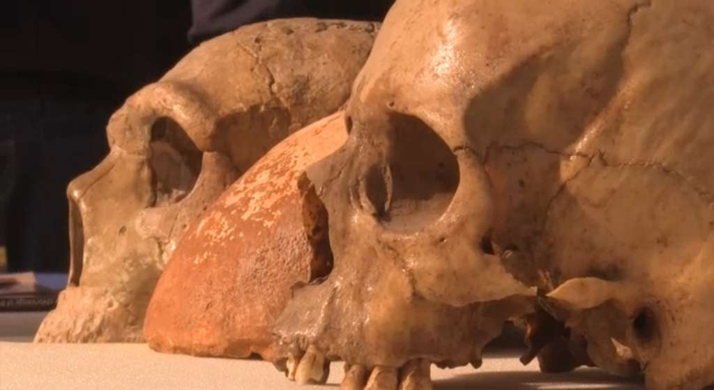 Homínidos pudieron entrar en Europa hace 900,000 años por Península Ibérica