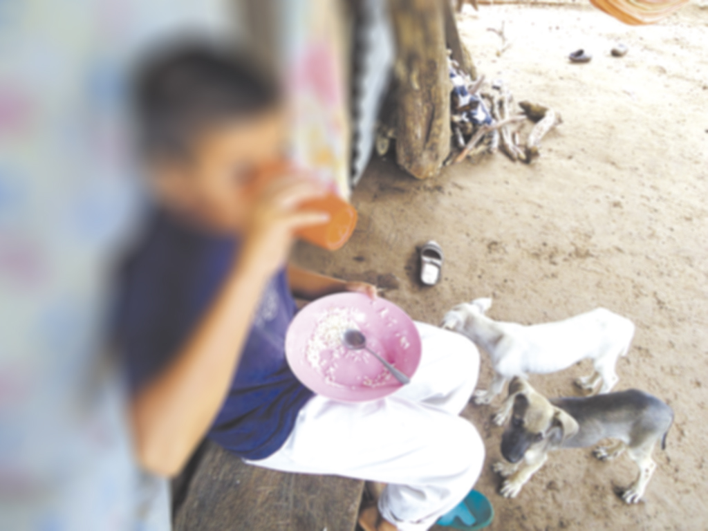 Malnutrición y pobreza extrema, asignaturas pendientes de América Latina