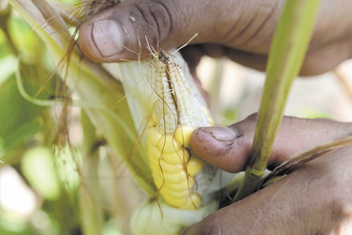 Monitorearán el Corredor Seco