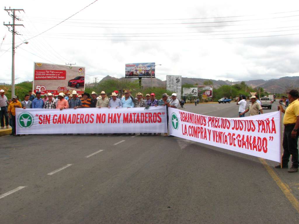Plantón de ganaderos en empalme de Boaco