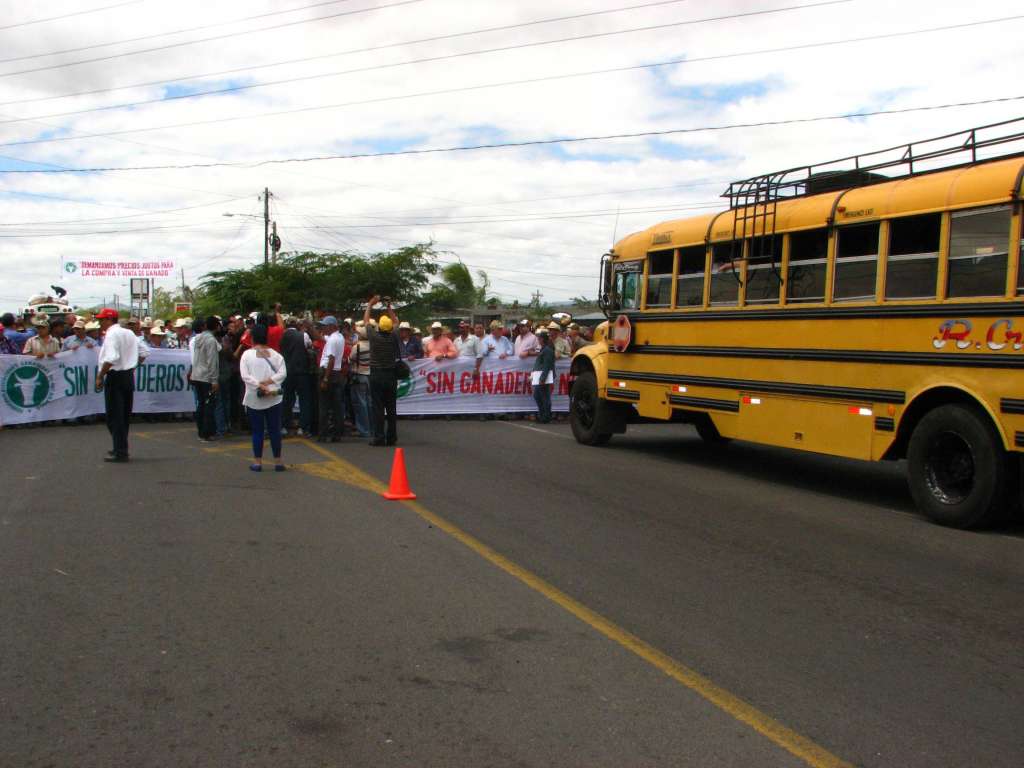 Ganaderos piden mejor precio por carne