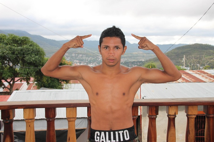 Byron “El Gallito” Rojas derrotó en una decisión unánime a Hekkie Budler