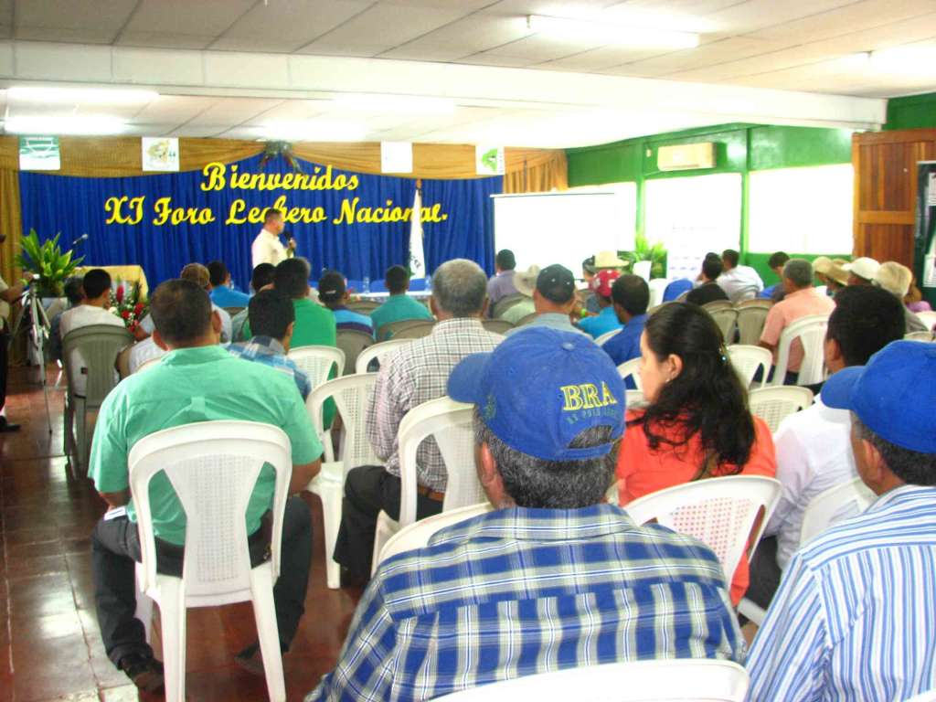 Buscan estrategias para superar caída de precios