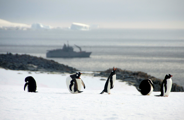 Científicos y marinos chilenos colaboran para descifrar el origen antártico