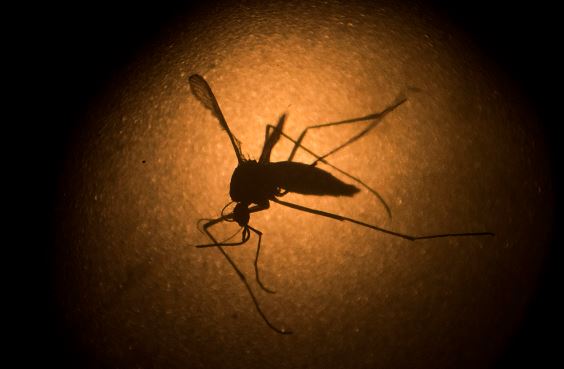 insecticidas aéreos