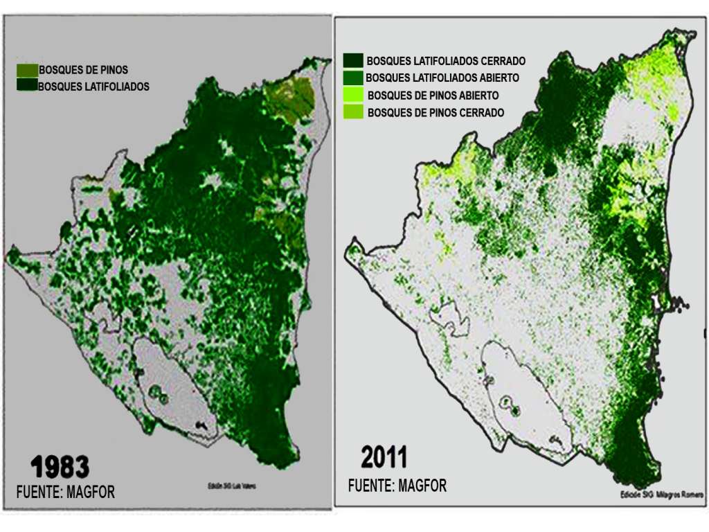 Reacciones en redes sociales sobre efectos negativos al medioambiente