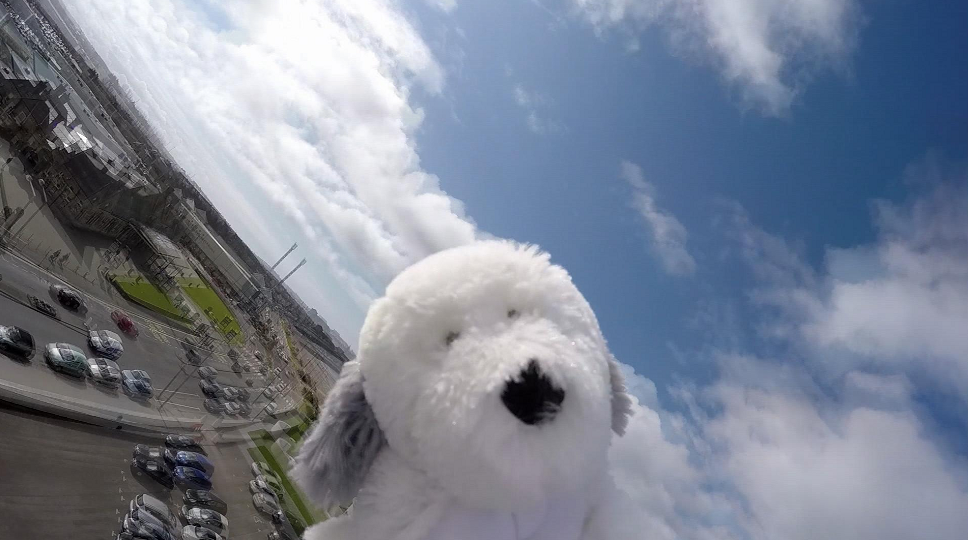 Perro de peluche alcanza la estratósfera