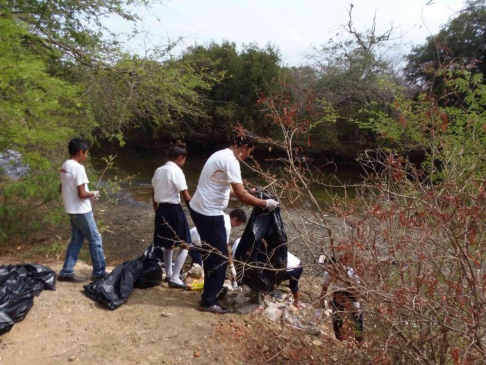 Peces siguen muriendo en San Juan del Sur