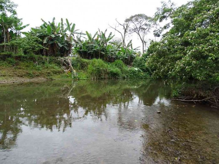 Peligra fuente de agua en Siuna