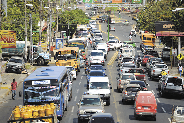 Culpan a conductores novatos por pólizas caras