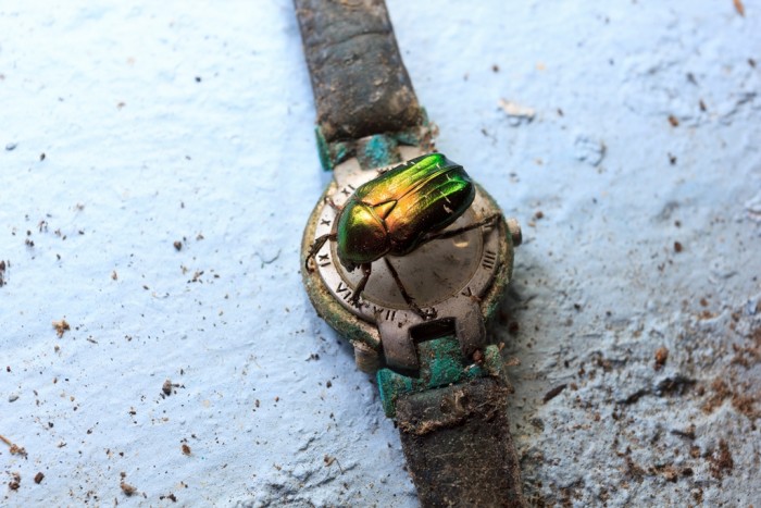 Contrición por la luz