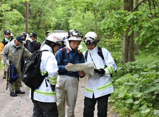 niño abandonado por sus padres, bosque japonés, Japón, Hokkaido