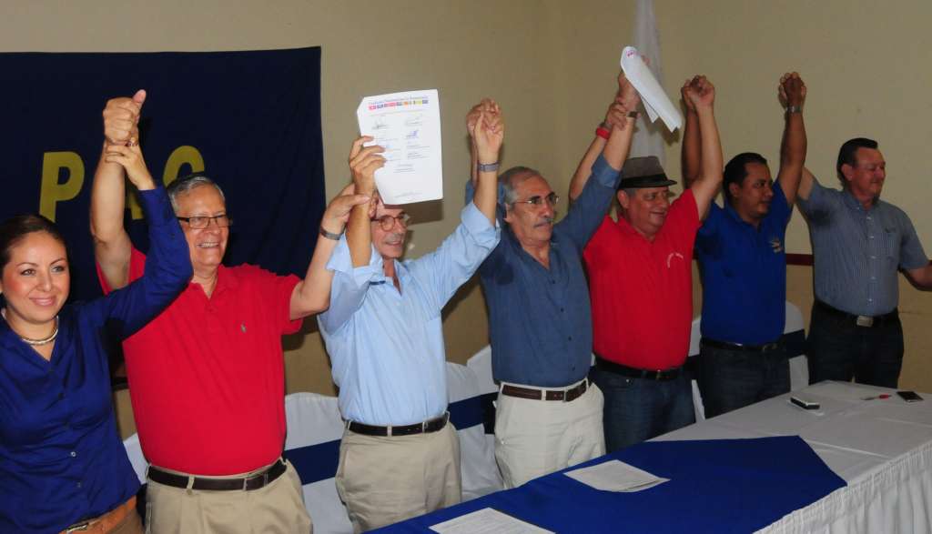 vicepresidente, PLI, #EleccionesNi2016