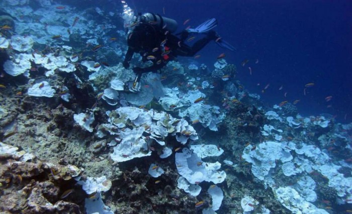 Fondo del mar es más desconocido que el suelo lunar