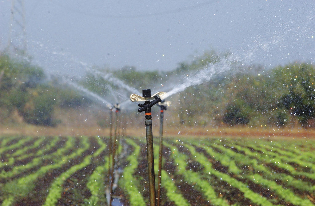 Crece uso de sistema de riego en fincas de Nicaragua