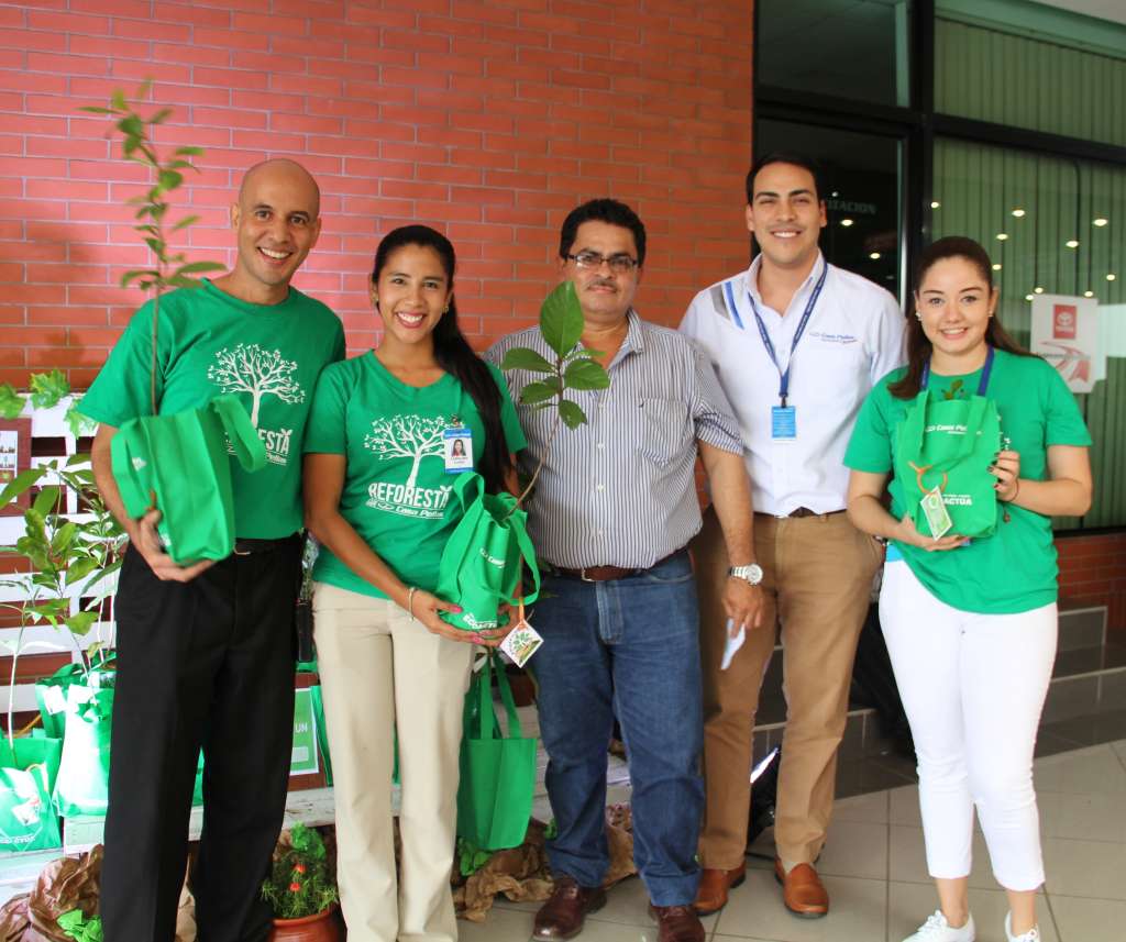 Iniciativa de reforestación