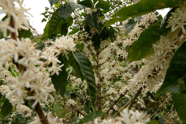 Conatradec se quedó en promesas