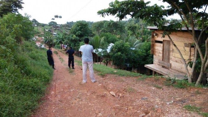 Ataque mortal de avispas en Bluefields