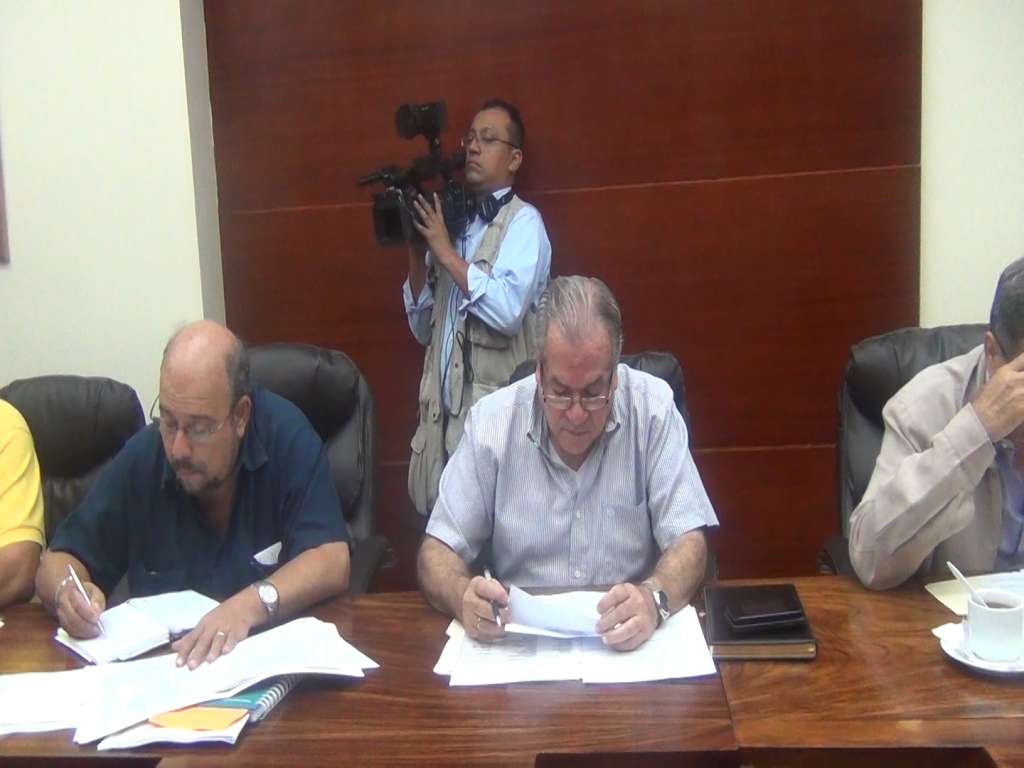 PLI ya tiene candidata para cargo vacante en junta directiva de A.N