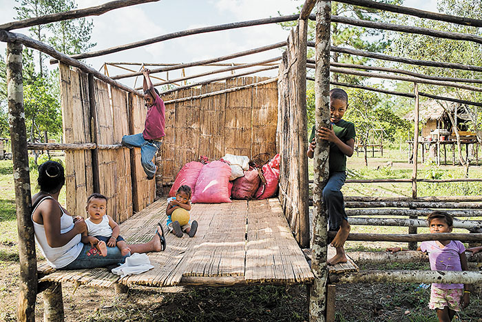Nicaragua: Indígenas miskitos buscan refugio