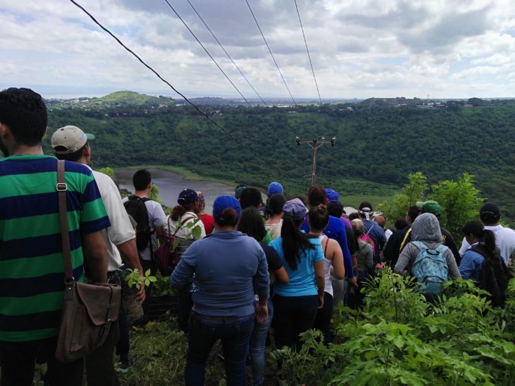 Inafor quiere plantar 25 millones de árboles en el 2018