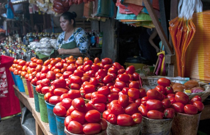 Precios del tomate y zanahoria aumentan