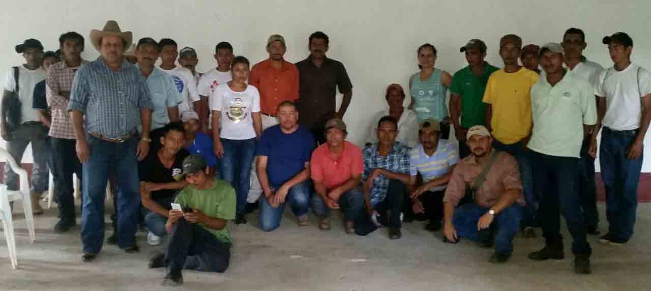 Renuncian fiscales de Maximino en tres municipios del norte