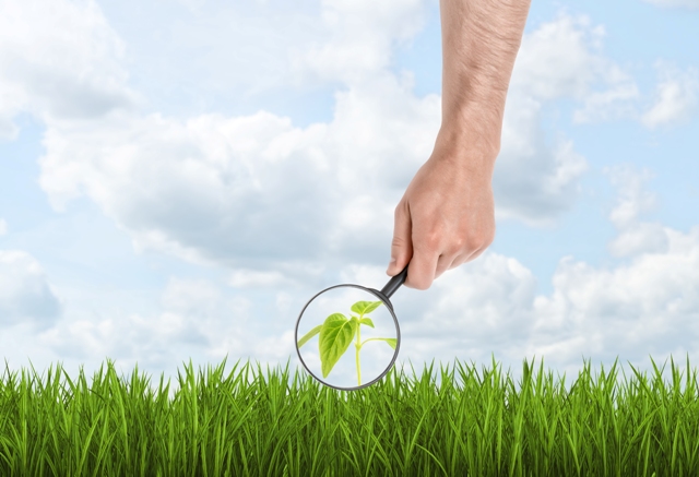 Aplazada en  investigación agropecuaria