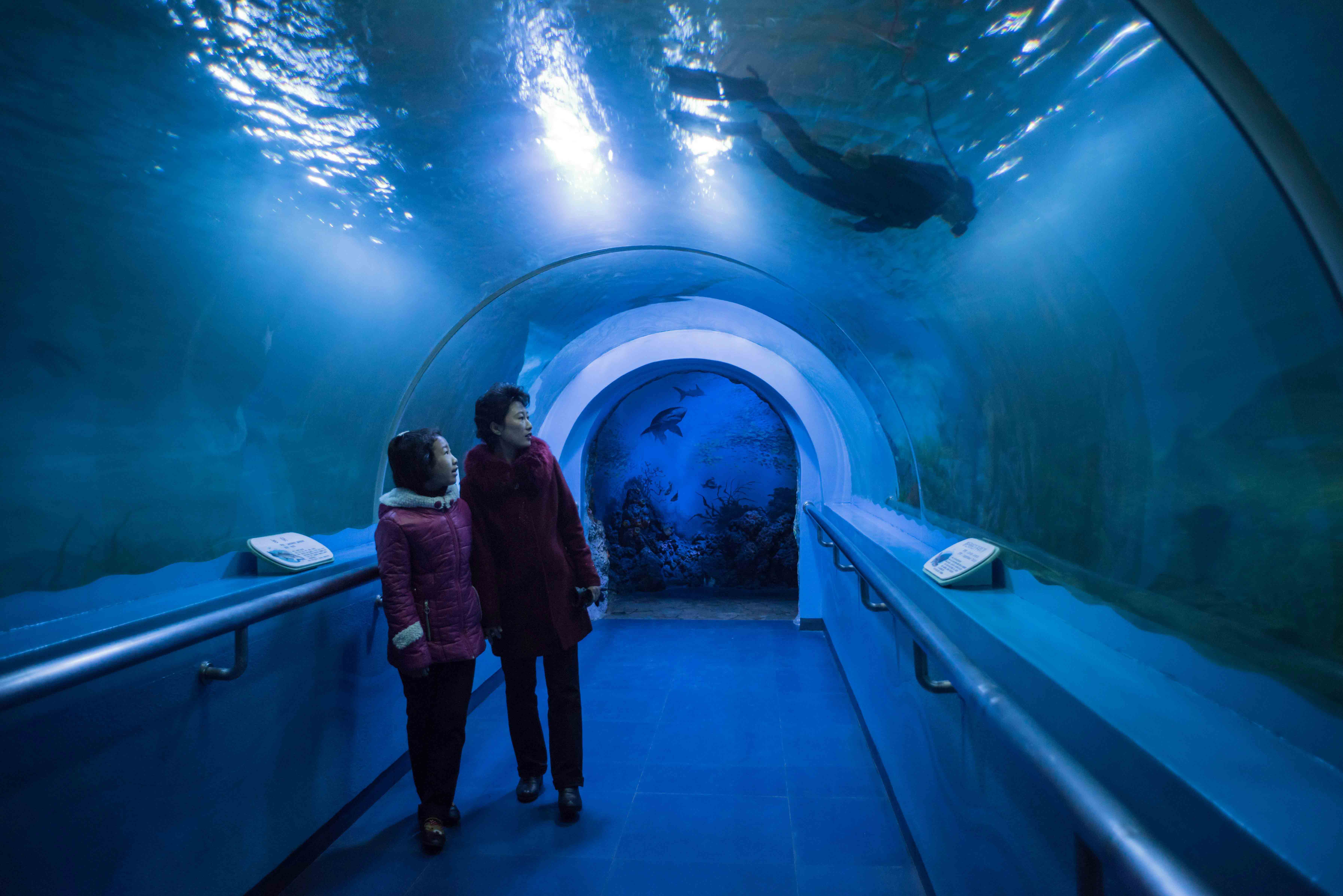 Pyongyang, acuario