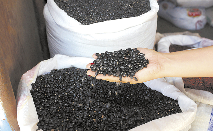 Frijol negro no logra recuperar su auge