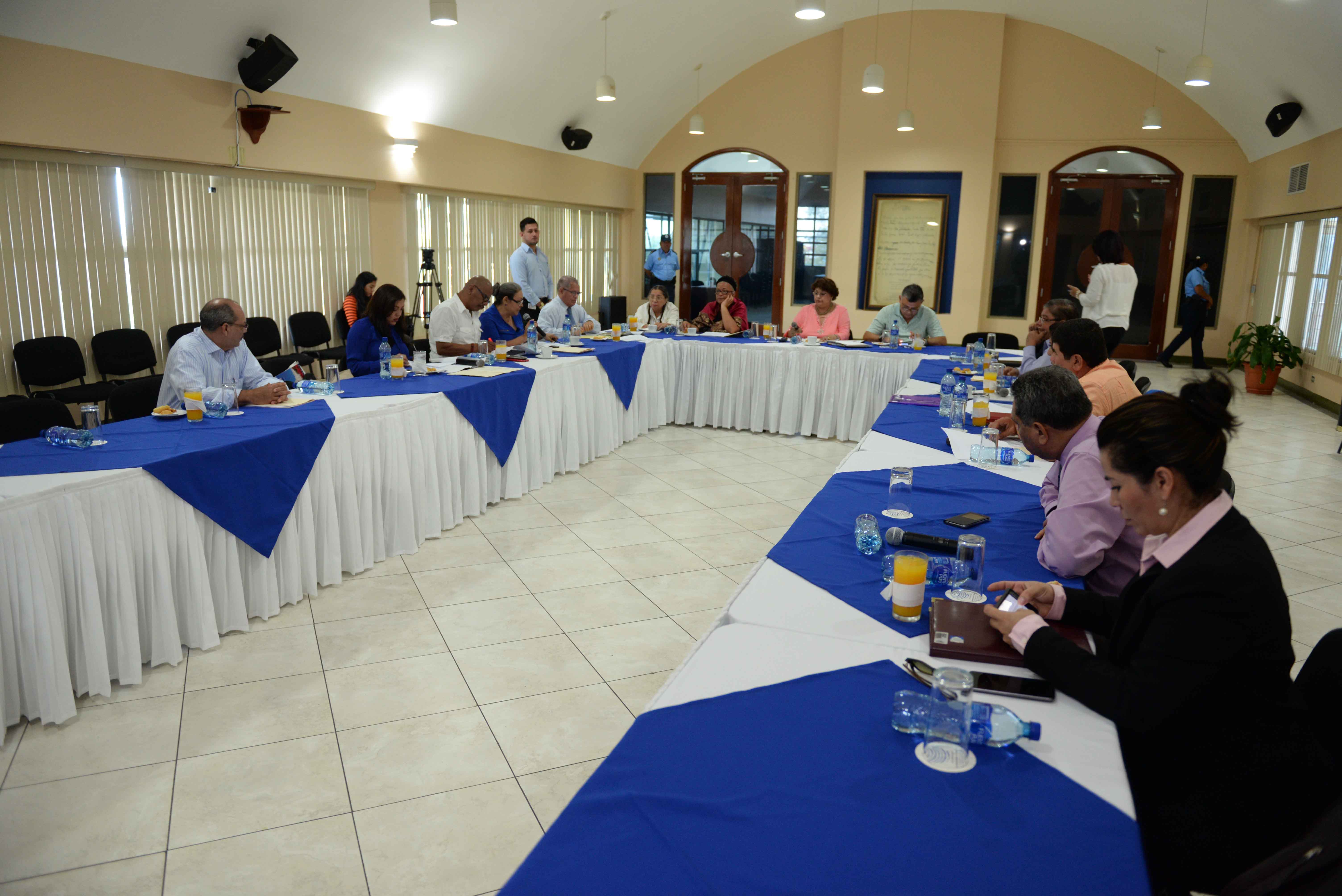 Ley de Tercerización, Ley de Justicia Constitucional, Asamblea Nacional
