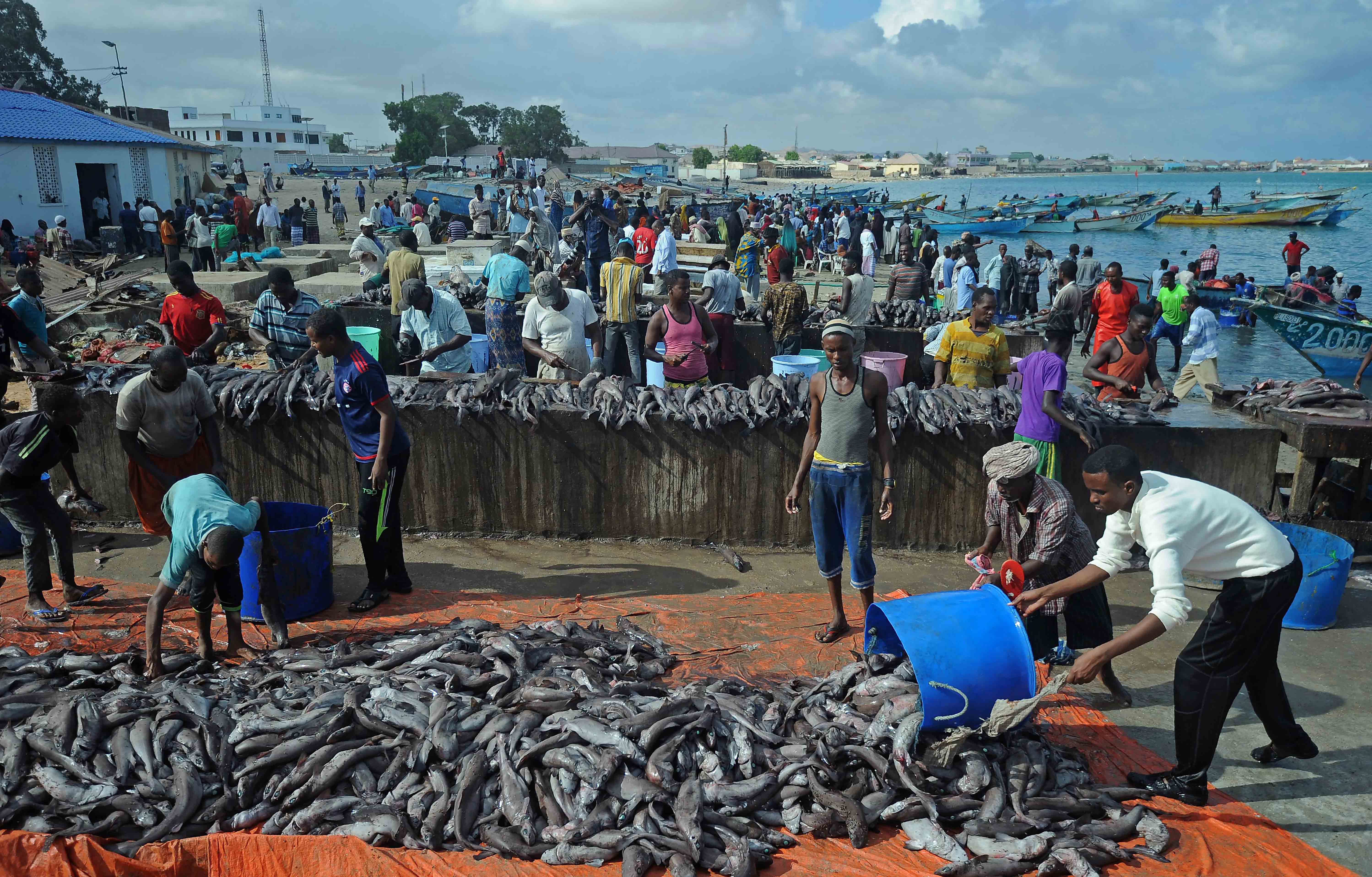 Somalia, pescado