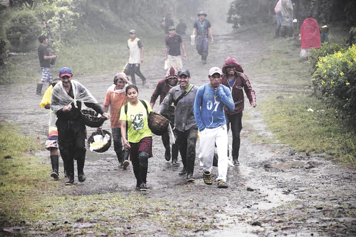 Lluvias aceleran maduración del café en Matagalpa