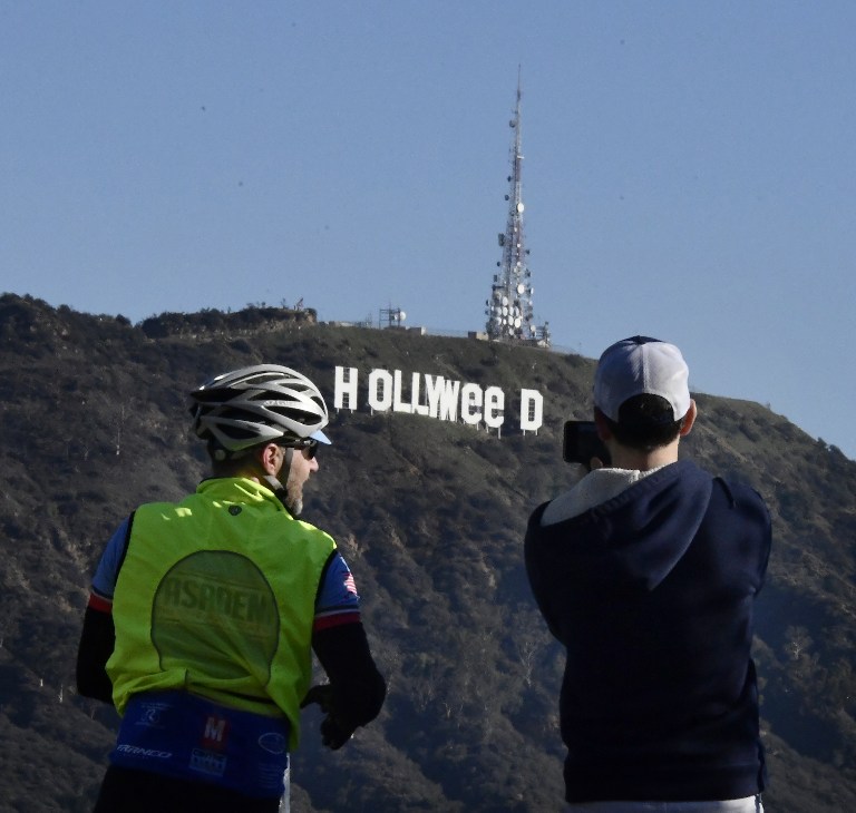 hollyweed, hollywood