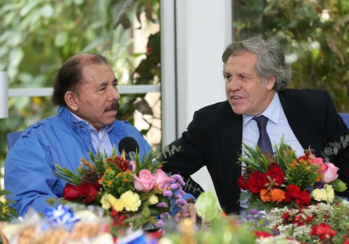 OEA en el ojo del huracán